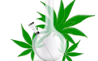 Glass Bongs VS Plastic Bongs: What is the main difference? 5 (1)