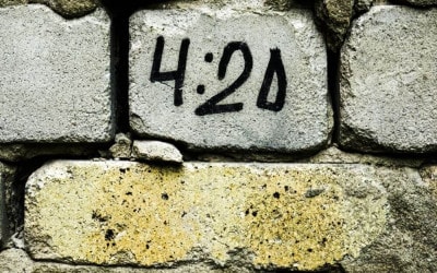 It’s 420 Somewhere, But What Does 420 Mean? 0 (0)